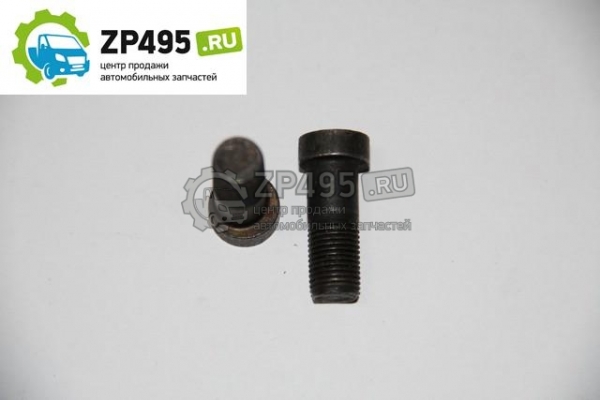 : 242403034 0005582  10*28/26*1  .    3110 barnaul.zp495.ru
