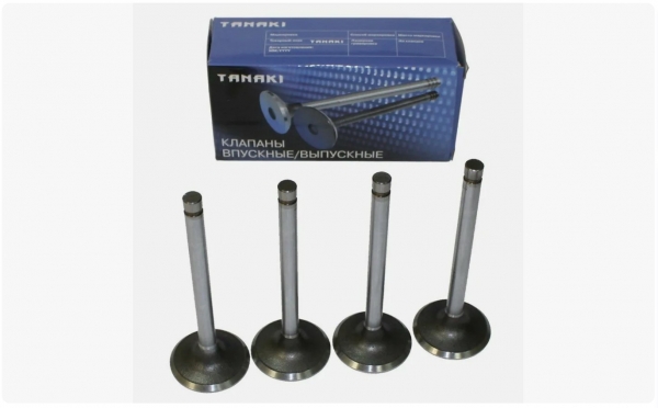 : TKG100701560 0003214   -2410,  Next .EvoTech 2.7 (939)  4.   (, ,,,,, , NEXT, NEXT) barnaul.zp495.ru