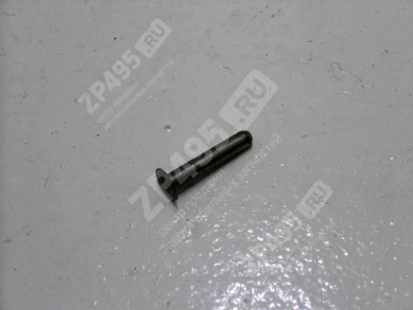 : 5601110241 0014119  -560    (, ,,,,, , NEXT, NEXT) barnaul.zp495.ru