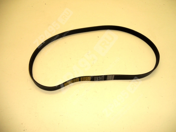 : 6PK1220 0015204  1220 DARWIN PLUS   /406-1308020-11/ (, ,,,,, , NEXT, NEXT) barnaul.zp495.ru