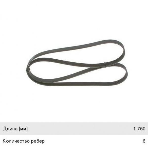 : 6PK1750 0015288   -31105,  .  (6PK-1750) DARWIN (, ,,,,, , NEXT, NEXT) barnaul.zp495.ru