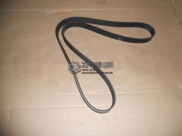 : 6PK1751 0015291   -31105,  .  (6PK-1751) HANSE (, ,,,,, , NEXT, NEXT) barnaul.zp495.ru