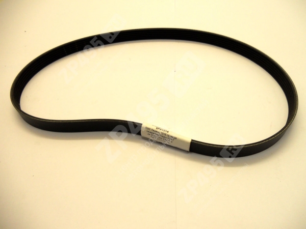 : 6PK1016 0024629       next .-5344 -4 RUBENA 5340-3701170-10 (, ,,,,, , NEXT, NEXT) barnaul.zp495.ru