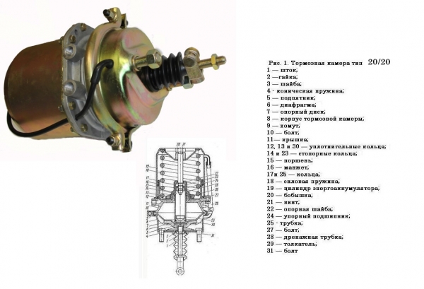 : 100351910010 0038216   20/20    barnaul.zp495.ru